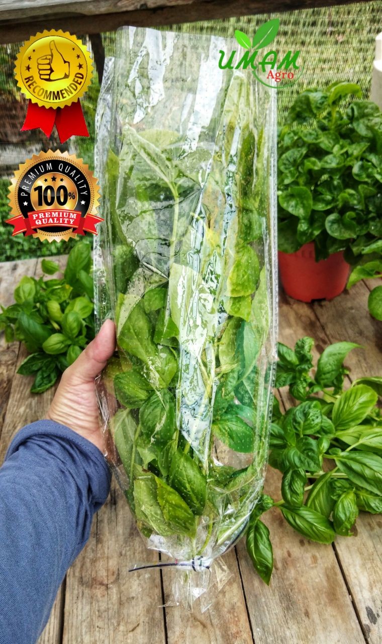 Plastic Packaging Vegetables/Fruits/Flowers BOPP Plastic Plastik Packing Sayur Micro